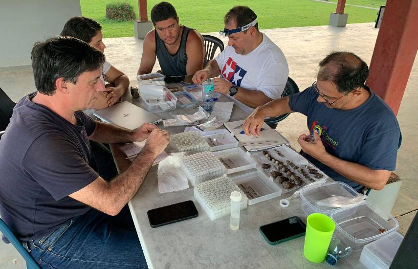 Científicos estudian caracoles marinos en el Parque Nacional Coiba