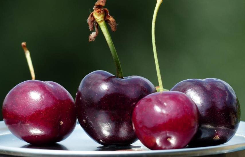 Frutas para esta época