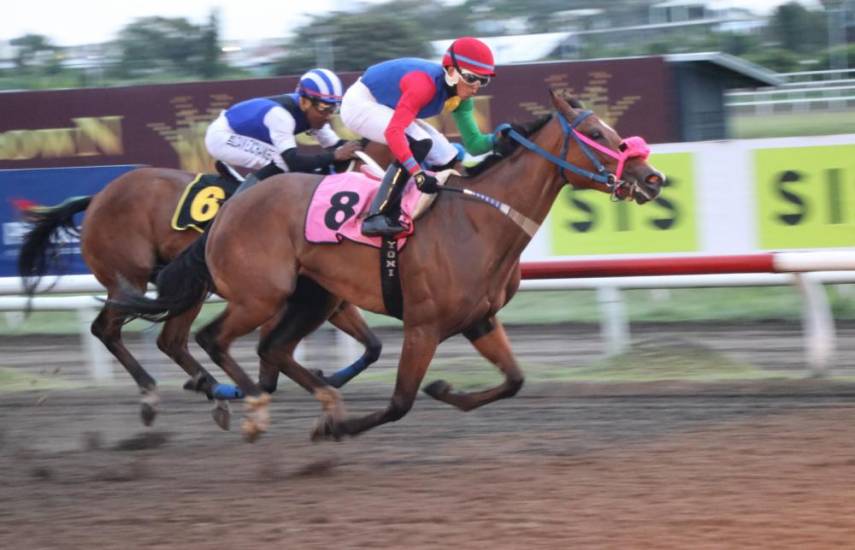 Cortesía | Jinetes en competencia durante un evento en el Hipódromo Presidente Remón.