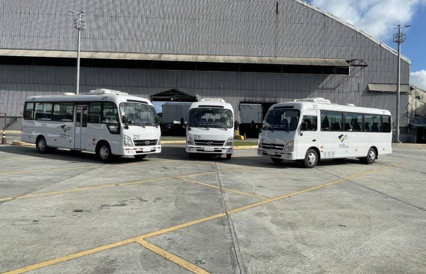 MiBus incluye buses medianos provisionales a su flota