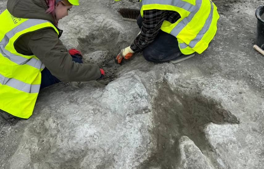 Descubierto el mayor sitio de huellas de dinosaurios del Reino Unido