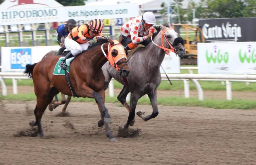 ML | Jinetes y caballos participan de las carreras hípicas en el hipódromo presidente Remón, de Juan Díaz.