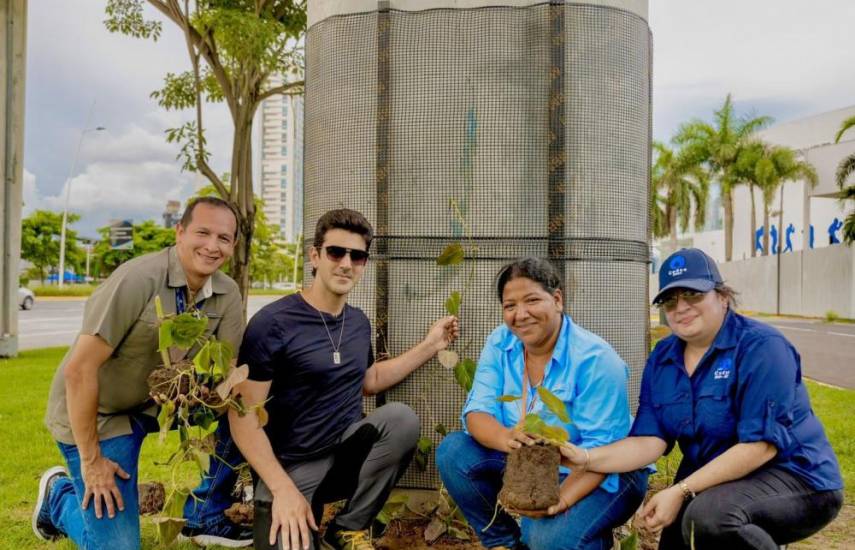 Bella Vista y San Francisco se unen para la siembra de 56 árboles de jacaranda