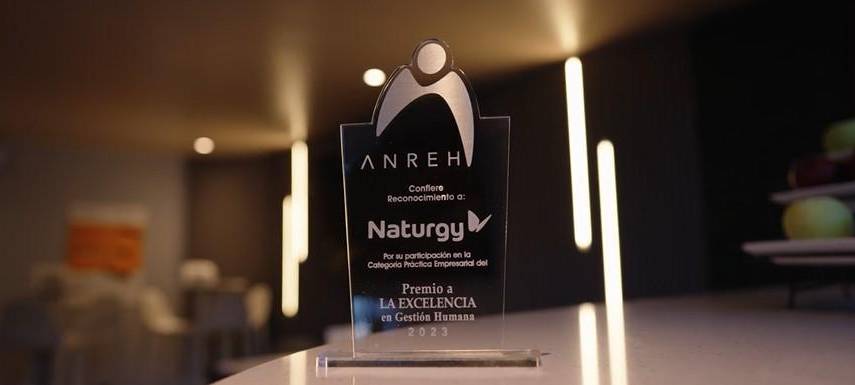 Naturgy destaca en la cuarta edición del Premio a la Excelencia en Gestión Humana de ANREH