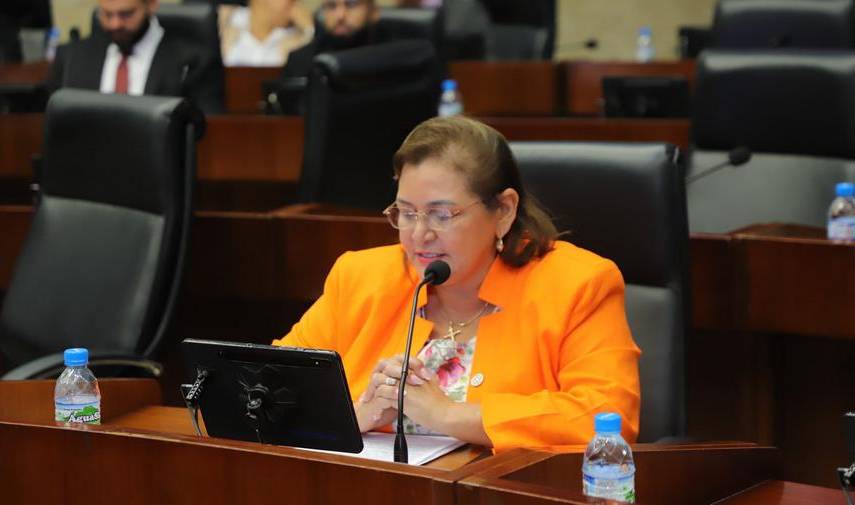 ML | La diputada Lilia Batista durante el debate de la propuesta.