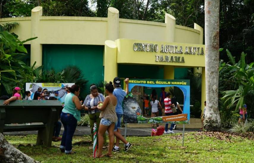 El Parque Municipal Summit ofrece actividades durante las vacaciones escolares