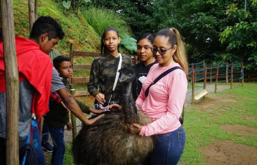 Finca Conejo Pintado: conexión con la naturaleza en la ciudad