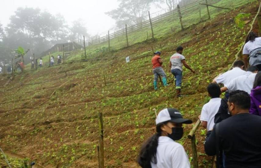 Finca Conejo Pintado: conexión con la naturaleza en la ciudad