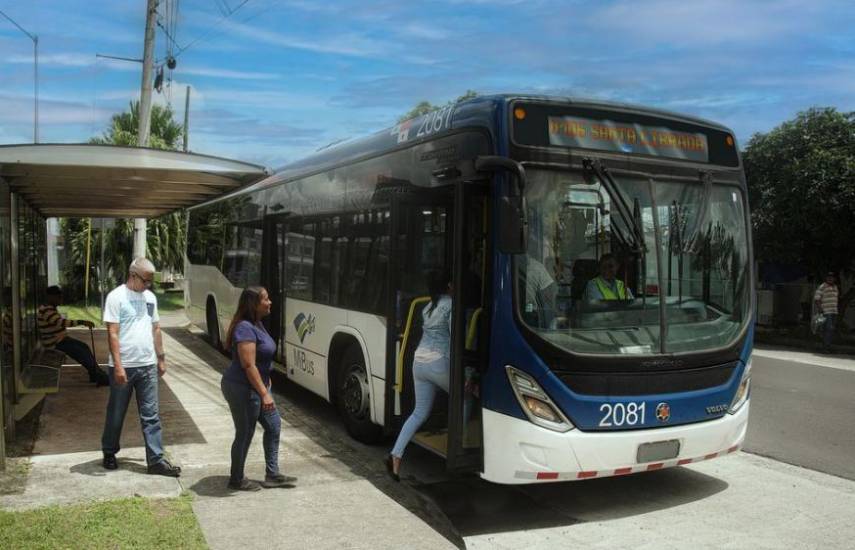 Desvíos en el servicio de Metrobús por remoción de árboles