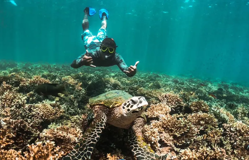 Aventuras para el Carnaval