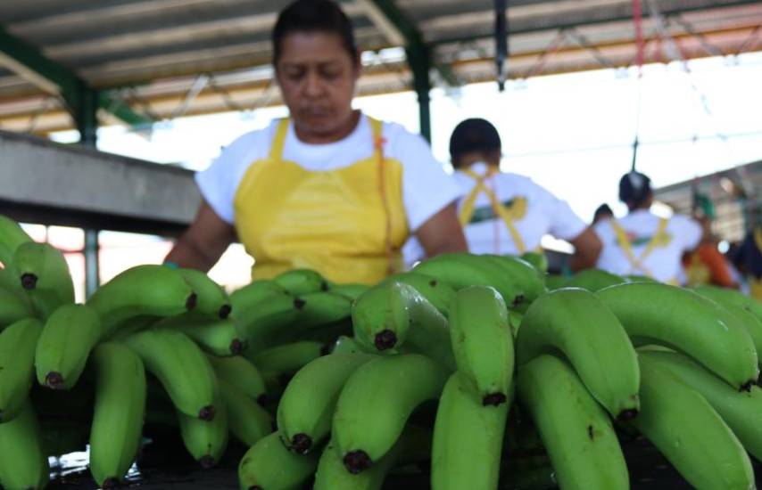 Las exportaciones panameñas crecen 4% hasta octubre