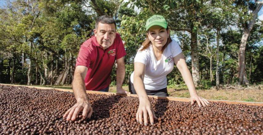 Café Geisha Black Jaguar triunfa en el mercado internacional